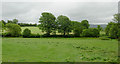 Farmland west of Stag