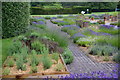 Lavender garden at Buckfast Abbey