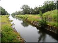 N4928 : Grand Canal from under Killeen Bridge, near Daingean, Co. Offaly by JP