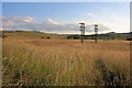 SD8069 : Electricity Transmission Poles, Swarth Moor by Mick Garratt