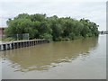 Former timber ponds, Gloucester & Sharpness Canal