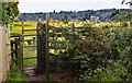 Gate and stile on Footpath