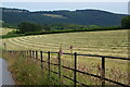 Cut grass near Spitchwick Manor