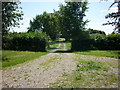 A track leading to buildings next to Newfield Farm