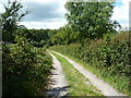 Bridleway through Nightingale Lane Meadows