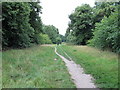 Path in Bush Wood