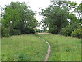 Path to Bush Wood