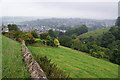 Hillside above Totnes