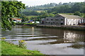 Wave effect on the River Dart