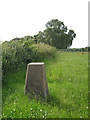 Trig point in a field