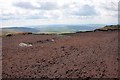 SK0789 : Exposed Peat on Kinder Scout by Mick Garratt