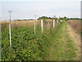 The footpath from Healing to Great Coates