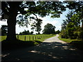 SE3590 : The road to Newby Wiske at Nook Cottage by Ian S