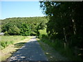 Moor Lane towards Black Plantation