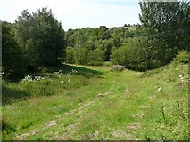 SE0026 : Hebden Royd Footpath 44 near Stubb, Mytholmroyd by Humphrey Bolton