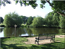 TQ4598 : Village pond, Theydon Bois by Malc McDonald