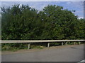 Trees by the M40, Lane End