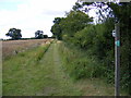 Footpath to Lowes Hill