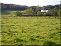C0535 : Rushy field overlooked by fine country home by C Michael Hogan