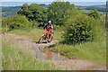 SK2273 : Trail Motor Bike Rider by Mick Garratt