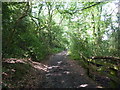 Bridleway near the Peak Forest Canal