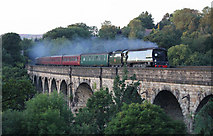 SD9906 : Steam over Saddleworth viaduct by Michael Fox