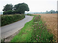 Wheat field by Yelstead Road