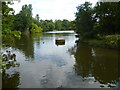 The main lake in Kelsey Park