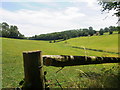 The valley below The Lawn, Farmington