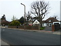 Lamppost in St Lawrence Avenue