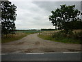 A track leading to Chevet Levels Farm