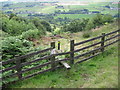 Footpath near Booth Bank