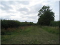 Brickings Lane,  South Leverton