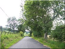 NT0535 : Unclassified road north of Knowehead Hill by Elliott Simpson