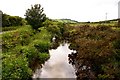 The River Fowey