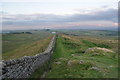 NY7467 : Hadrian's Wall by Ashley Dace
