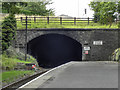 The Ingrow Tunnel