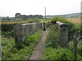 NZ3243 : The Coffin Bridge. Named locally in Victorian times when coffins were carried via it to St Laurence Churchyard at Hallgarth by peter robinson