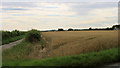 2011 : Wheatfield south of the B3086