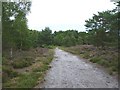 Sandford Heath, footpath