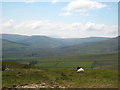 SD8693 : A roadside sheep in Buttertubs Pass by Rod Allday