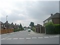 Ingle Avenue - viewed from Horsfall Street