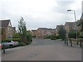 Springfield Road - viewed from Lister Walk