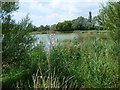 Stone Marsh Angling Club lake