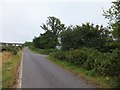 SY0093 : Minor road beside A30 and mobile phone mast by David Smith