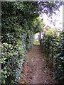 TM4160 : Footpath to Low Road & Chase's Lane by Geographer