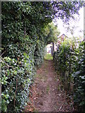 TM4160 : Footpath to Low Road & Chase's Lane by Geographer