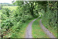 Track to Chapel Street, Pentraeth