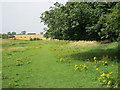 Footpath from Hallgarth to Sherburn