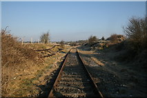 N8285 : Railway Line near Nobber Co. Meath (2) by Brian Lenehan
